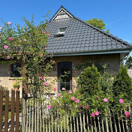 Landhaus 1884 Ofc 17 Beiershagen エクステリア 写真
